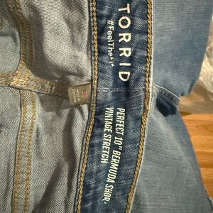 Torrid Blue Men's Jeans